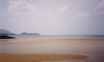 i摜jViC